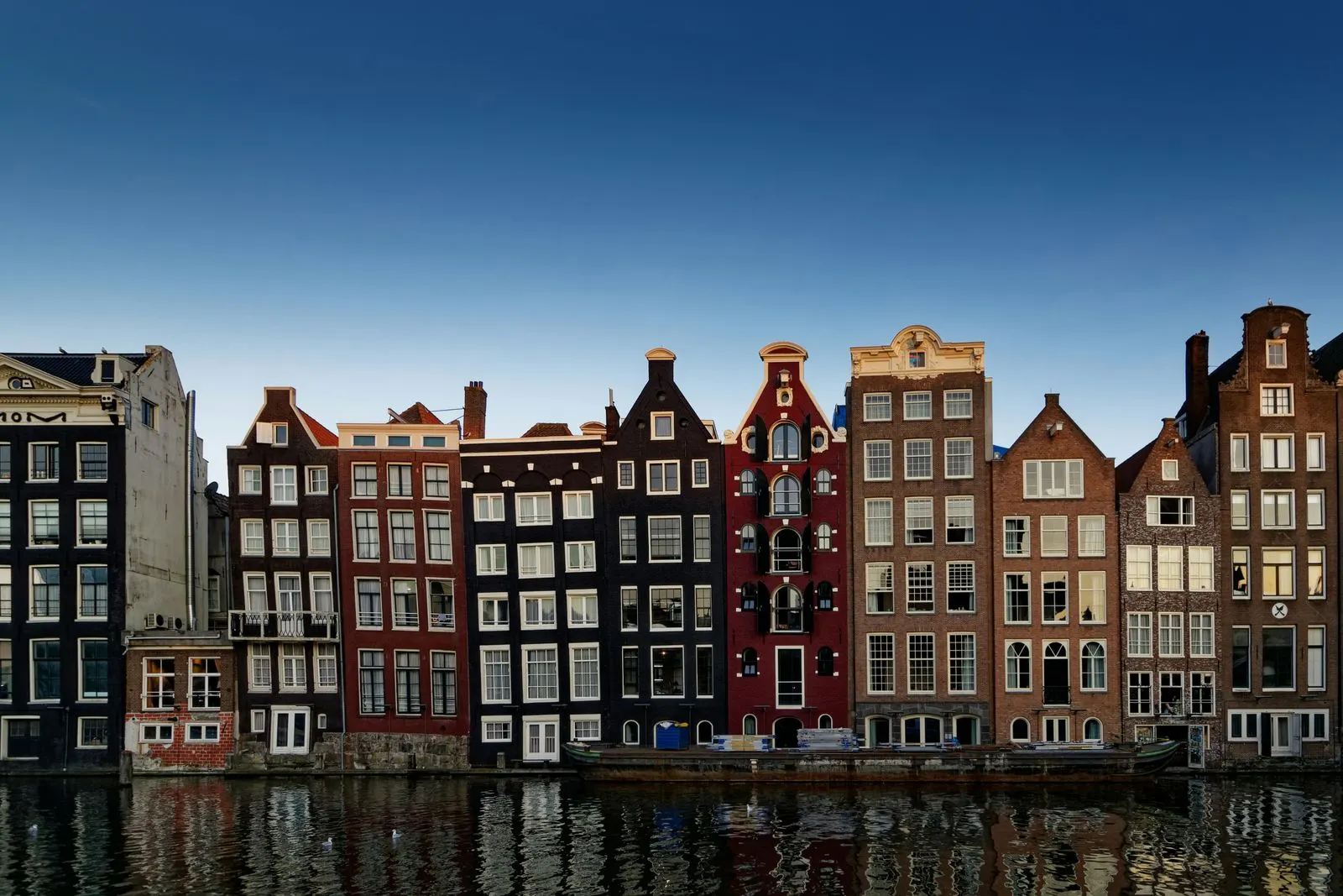 New Site Agency office in Amsterdam, Netherlands