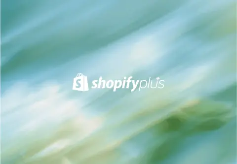 Shopify B2B: A Practical Guide for Wholesale Growth