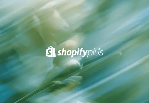 The Ultimate Shopify SEO Guide for Better Rankings & Revenue