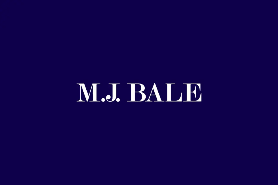 M.J. Bale E-commerce Retail Growth website preview