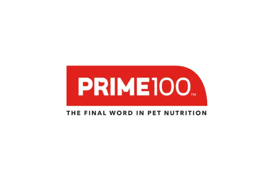 Prime100 E-commerce Retailer Case Study website preview
