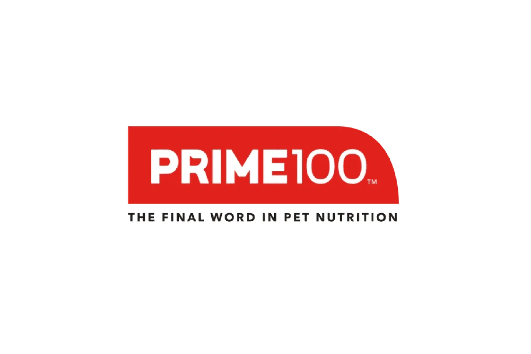 Prime100 E-commerce Retailer Case Study website preview